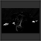 in the dark